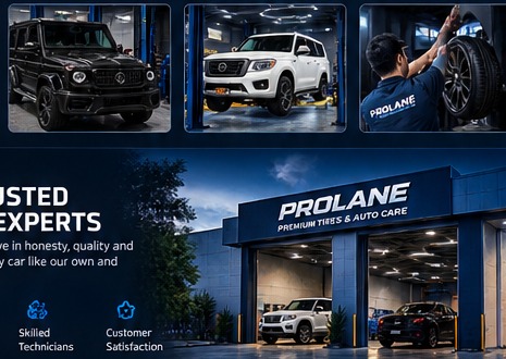 Prolane workshop